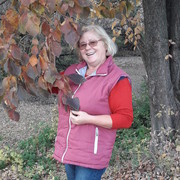 ���������� ��������, ���� ������� ����, 65 ���, ������������ ��� ������, ����� � ���������, c�������� ���������