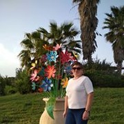  ,  , 53