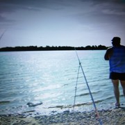 ���������� ������� �����, ���� ������� ������, 50 ���, ������������ ��� ������, ����� � ���������, c�������� ���������