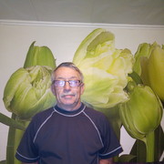  ,   , 62 ,   ,   , c 