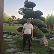  ,   , 44 ,   ,   