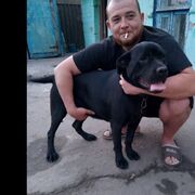  ,   , 41 ,     , c , 