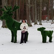 ������, ��������