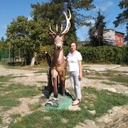  ,   , 70 ,   ,   , c 