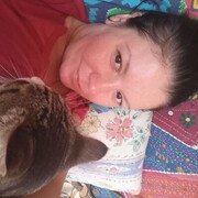 ���������� ������, ���� ������� ����, 44 ����, ������������ ��� ������, ���������