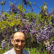 ���������� ���������, ���� ������� �����, 39 ���, ������������ ��� ������, ����� � ���������