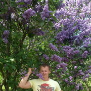 ���������� ����, ���� ������� ����, 41 ���, ������������ ��� ������