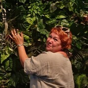 ���������� ������-��-����, ���� ������� �����, 51 ���, ������������ ��� ������, ����� � ���������