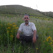  ,   , 60 ,   