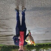  -,   , 30 ,  