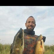  --,   , 40 ,   ,   