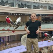 ���������� ������, ���� ����� ������, 22 ����, ������������ ��� ������, ����� � ���������