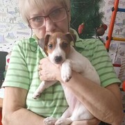 ���������� ���������, ���� ������� �����, 68 ���, ������������ ��� ������, ����� � ���������