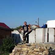  ,   Den, 36 ,   