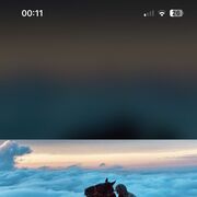 ���������� ���������, ���� ������� ����, 41 ���, ������������ ��� ������, ����� � ���������