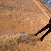 ���������� ���������, ���� ������� ���, 27 ���, ������������ ��� ������, ����� � ���������