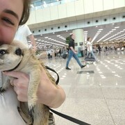 ���������� ������, ���� ������� �����, 30 ���, ������������ ��� ������, ����� � ���������, c�������� ���������, ���������