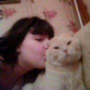 ���������� ��������, ���������