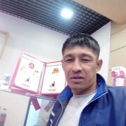  ,  Rustik, 43