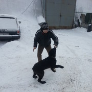 ���������� ������, ���� ������� Lis, 35 ���, ������������ ��� ������, ����� � ���������, c�������� ���������