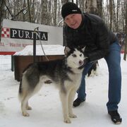 ���������� ��������, ���� ������� ������, 55 ���, ������������ 