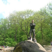 ���������� ����, ���� ������� �������, 40 ���, ������������ 