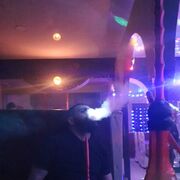 ���������� ����������, ���� ������� ����, 37 ���, ������������ ��� ������, ����� � ���������