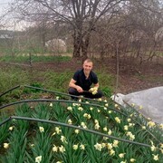 ���������� ����, ���� ������� ���, 29 ���, ������������ ��� ������, ����� � ���������