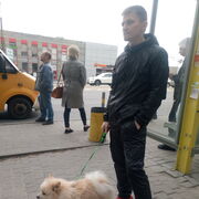 ���������� ��������������, ���� ������� ���������, 38 ���, ������������ ��� ������