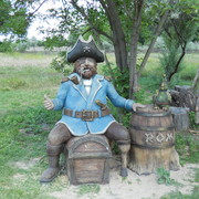 ���������� ������, ���� ������� ����, 49 ���, ������������ ��� ������