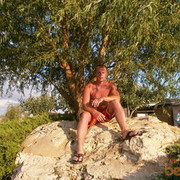 ,   Olex, 39 ,   