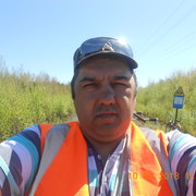  ,   GOLD LION, 51 ,   ,   , c 