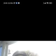 ���������� ���������, ���� ������� ������, 38 ���, ������������ ��� ������, ����� � ���������, c�������� ���������, ���������