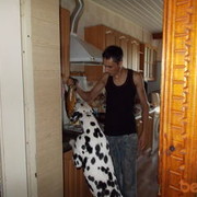  ,   , 36 ,     , c 