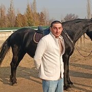 ���������� �������, ���� ������� Giorgi, 31 ���, ������������ ��� ������, ����� � ���������