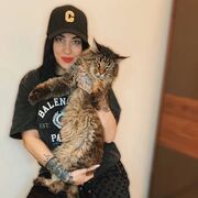 ���������� �����-���������, ���� ������� ����, 33 ����, ������������ ��� ������, ����� � ���������, c�������� ���������