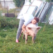 ���������� �����������, ���� ������� �����, 41 ���, ������������ 