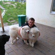 ���������� �����, ���� ������� �������, 38 ���, ������������ ��� ������, ����� � ���������, c�������� ���������