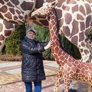  ,   , 52 ,   ,   