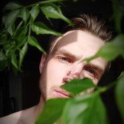  -,   , 28 ,   ,   
