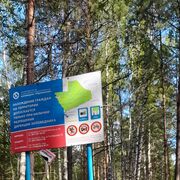 ���������� ������ ��������, ���� ������� �������, 43 ����, ������������ ��� c�������� ���������