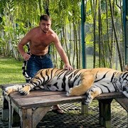 ���������� ������, ���� ������� ���������, 35 ���, ������������ ��� ������, ����� � ���������