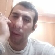  ,  , 41
