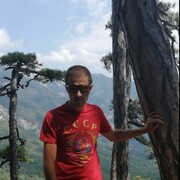  ,   , 44 ,   ,   