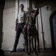 ���������� �����, ���� ������� �������, 41 ���, ������������ ��� ������, ����� � ���������