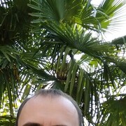  ,   , 37 ,   ,   , c , 