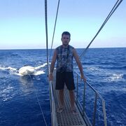 ���������� ���������, ���� ������� ������, 33 ����, ������������ ��� ������, ����� � ���������