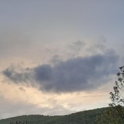  ,   , 61 ,  