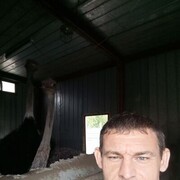  ,   Artem, 36 ,  