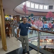 ���������� �����-���������, ���� ������� �����, 40 ���, ������������ ��� ������, ����� � ���������, c�������� ���������